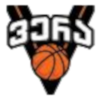 https://img.aoyuyida888.com/img/basketball/team/ab83d99c4b224434a81d14fc9e1b5949.png