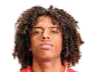 https://img.aoyuyida888.com/img/football/player/135ad8787fd13961a93e165e79e736ff.png