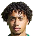 https://img.aoyuyida888.com/img/football/player/347a6d58ae7ec0425a4d42bc9215c411.png